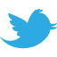 Twitter Logo